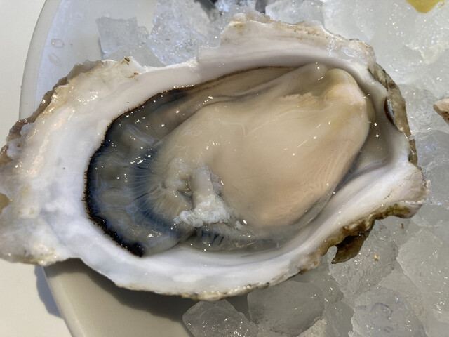 ガンボ オイスターバー そごう千葉店 21 11 By Aji Aji ガンボ オイスターバー 千葉そごう店 Gumbo And Oyster Bar 京成千葉 シーフード 食べログ