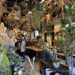 ユナイテッド バンブー - 