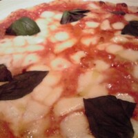 スプレンディード - 