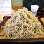 Teuchi Soba Udon Ayame - 大盛りにしたので、そこそこの量があります。