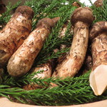 くろぎ - 松茸ずらり！3