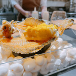 サンプリシテ - 