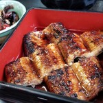 Fuji Unagi - 