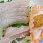 川古荘 - ヒラメとマンボウ