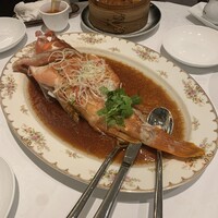 五粮液DiningTOKYO - 