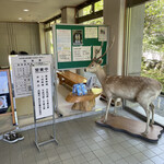 ふれあい処 山ぼうし - 