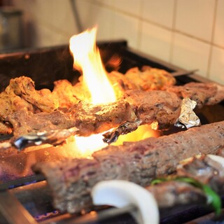伊朗出身的资深厨师制作的正宗伊朗料理