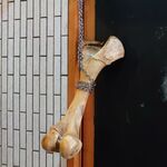 一条流がんこ総本家分家四谷荒木町 - オープン時に掛けられる牛骨のオブジェ♪