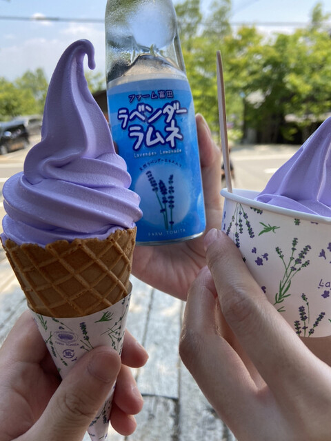 ファーム富田 中富良野 ソフトクリーム 食べログ