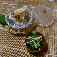 千松しま - 