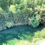 池内うどん店 - 