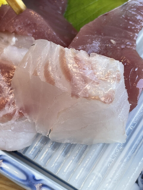 魚あら うおあら 弁天島 魚介料理 海鮮料理 食べログ 魚あら うおあら 弁天島 魚介料理 海鮮料理 食べログ