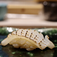 鮨 権左衛門 - やりいか炙り 塩酢橘