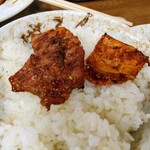 大松園 - 豚ロースとホルモン