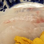 道人 - ④アコウ(兵庫県明石産、1kg、当日11時締)
      産卵期は夏、旬は春~夏だが、大型は通年
      全て雌で生まれ、40cmで全て雄に性転換
      ゴリッとした食感、ほのかな甘み
      サイズが小さく大型アコウの旨みに届かず