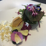 プレゼンテ スギ - SUGI畑