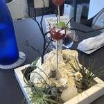 プレゼンテ スギ - トマト飴