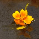 リストランテ アンティーコ・アルベルゴ - 