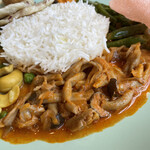 RAINFOREST - きのこのカレー