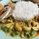 RAINFOREST - カシューナッツのカレー