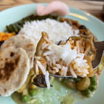 RAINFOREST - きのこのカレー