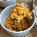 RAINFOREST - 赤レンズ豆のダルカレー