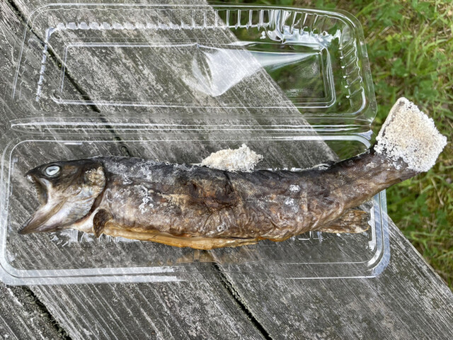 いわなの郷 - 川内村その他（その他）の写真