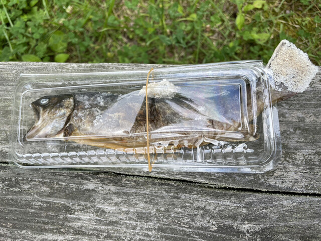 いわなの郷 - 川内村その他（その他）の写真