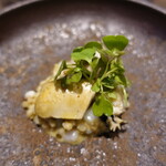 ル クーリュズ - 日間賀島の岩牡蠣、阿久比の蕎麦の実とヤリイカのリゾット、カレー風味