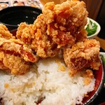 Karaage Hitosuji - 