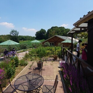 フルーツオンザヒル_2