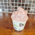 YB Gelato - 