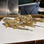 みかわ 是山居 - 