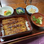 Kigawa - 