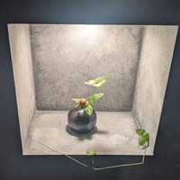 草片 - 