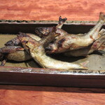 草庵 鍋島 - 宮崎の鮎