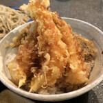 蕎麦遊膳　雅 - ミニ天丼