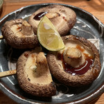 きんぼし - しいたけ（コース内）評価＝◎