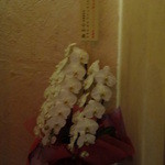 Fujiya 1935 - 2013年ミシュラン3つ星を取られたところでエス・コヤマさんからお祝いが。