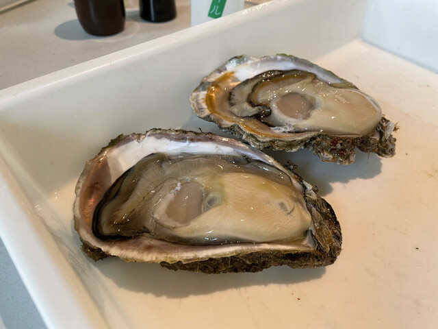 魚の駅 生地 生地 その他 食べログ 魚の駅 生地 生地 その他 食べログ
