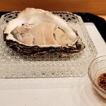 馬車道 大かわ - 生牡蠣