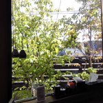 いっ歩 - 色づく街