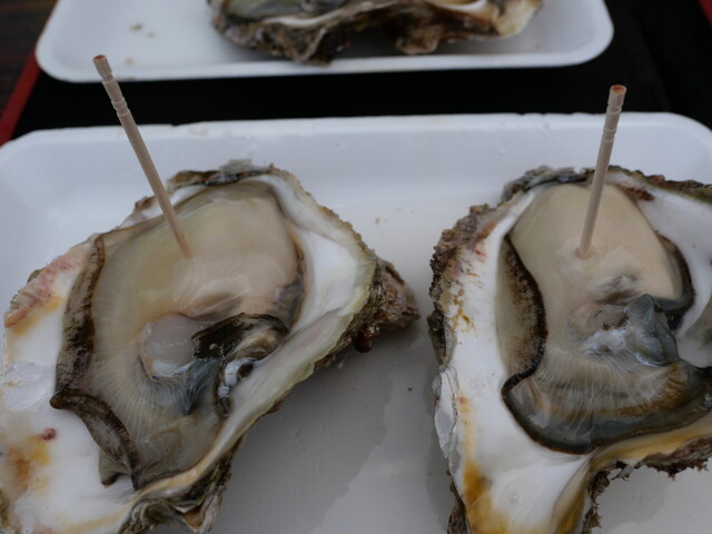 土田水産 - 象潟（その他）