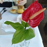 アンティカ オステリア デル ポンテ - 卓上花