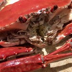 めしの助 - 渡り蟹塩ゆで(一匹)