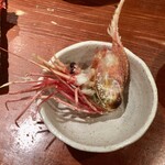 めしの助 - ぼたんえび_頭焼