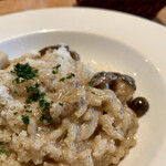 Fusion Dining Olive - 