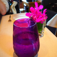 スミレオオサカ - 