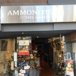 AMMONITE - 