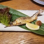 Nombiri Na Izakaya Nijiiro - 